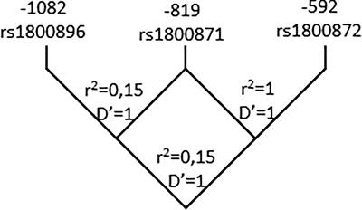 Interleukin 10 Polymorphisms as Risk Factors for Progression to Chagas Disease Cardiomyopathy: A Case-Control Study and Meta-Analysis